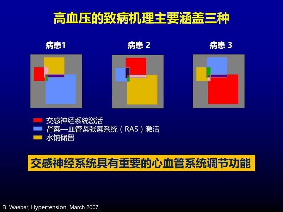 《交感兴奋与高血压》ppt课件_第5页