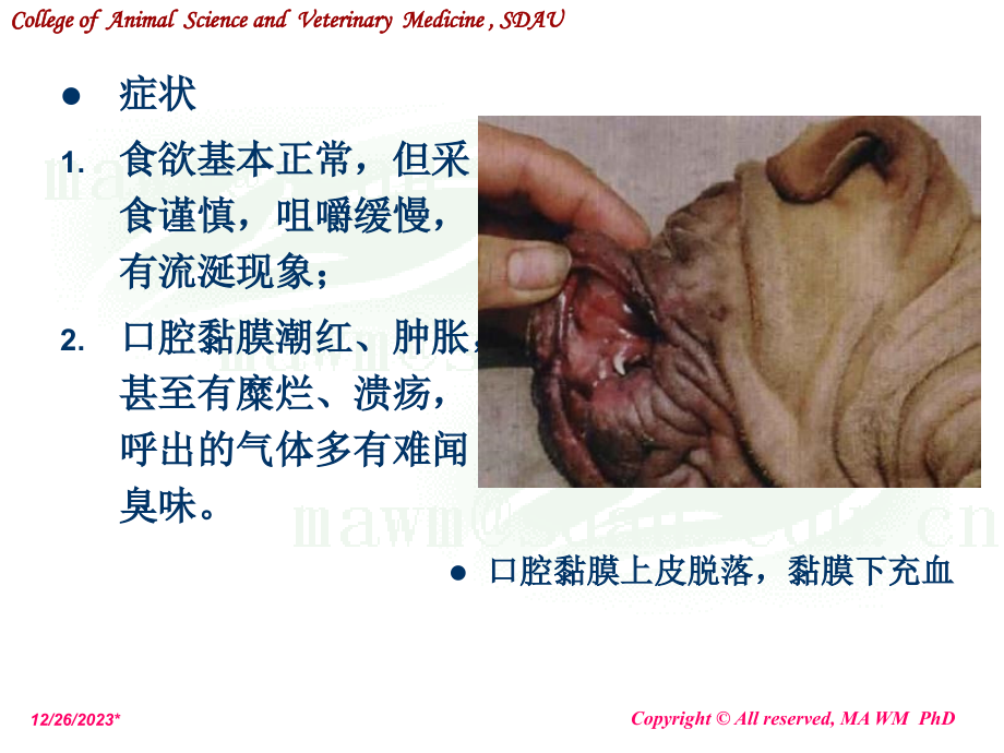 动物外科学--消化系统疾病_第3页