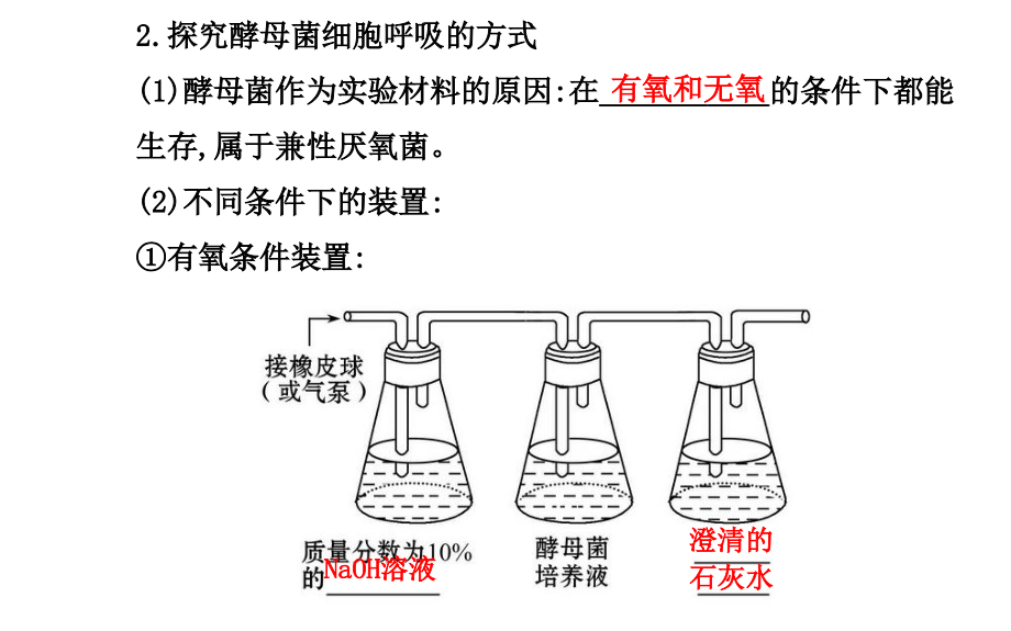 学年高中生物必修一第5章第3节atp的主要来源——细胞呼吸_第3页