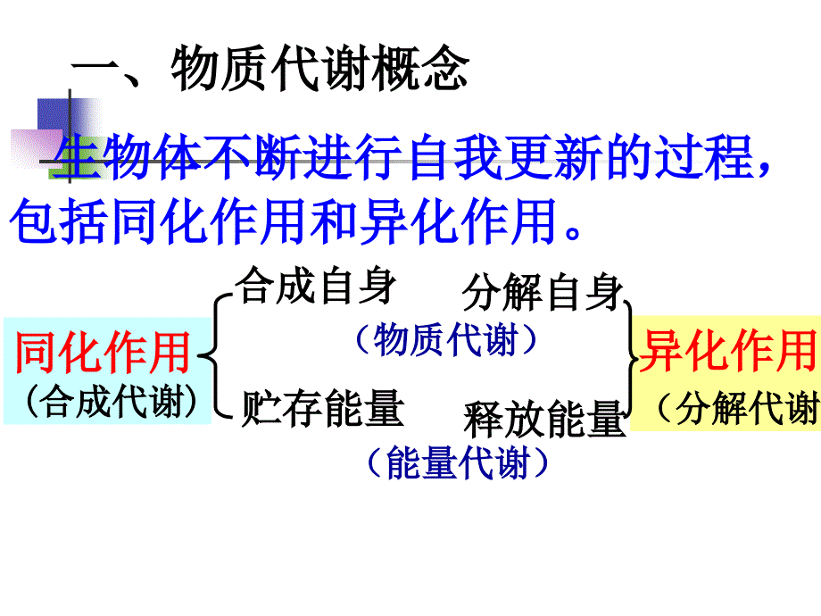 代谢和代谢调控总论1_第2页