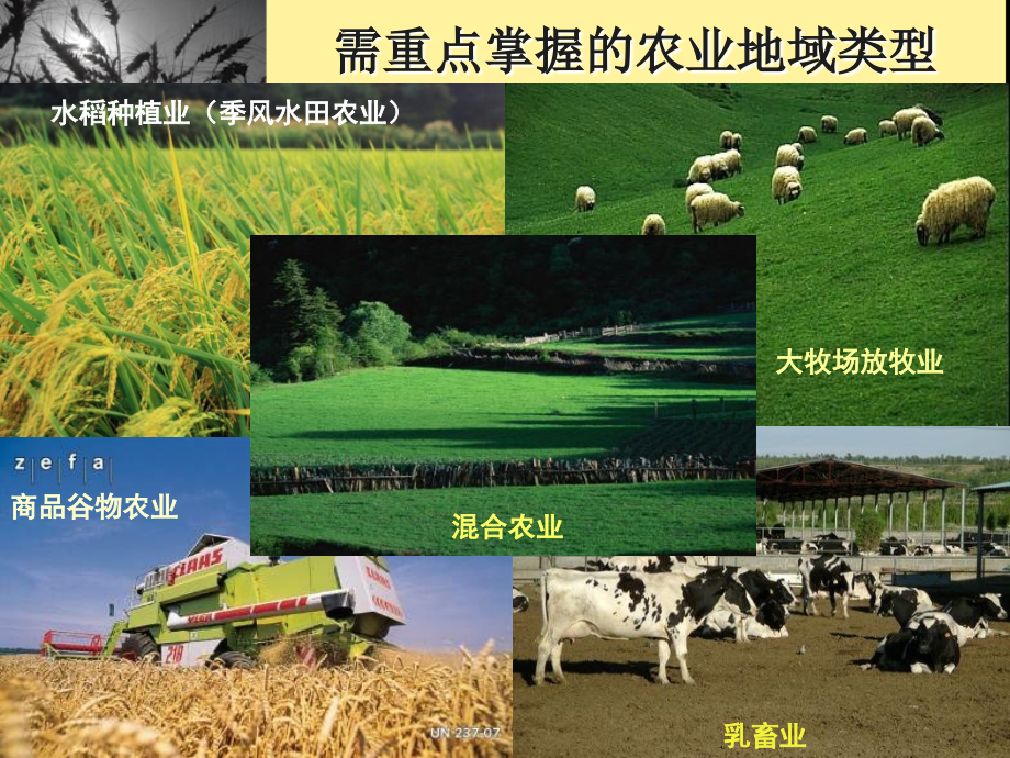 世界主要的农业地域类型理_第1页