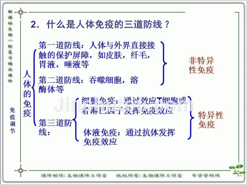 概述免疫系统的组成_第5页