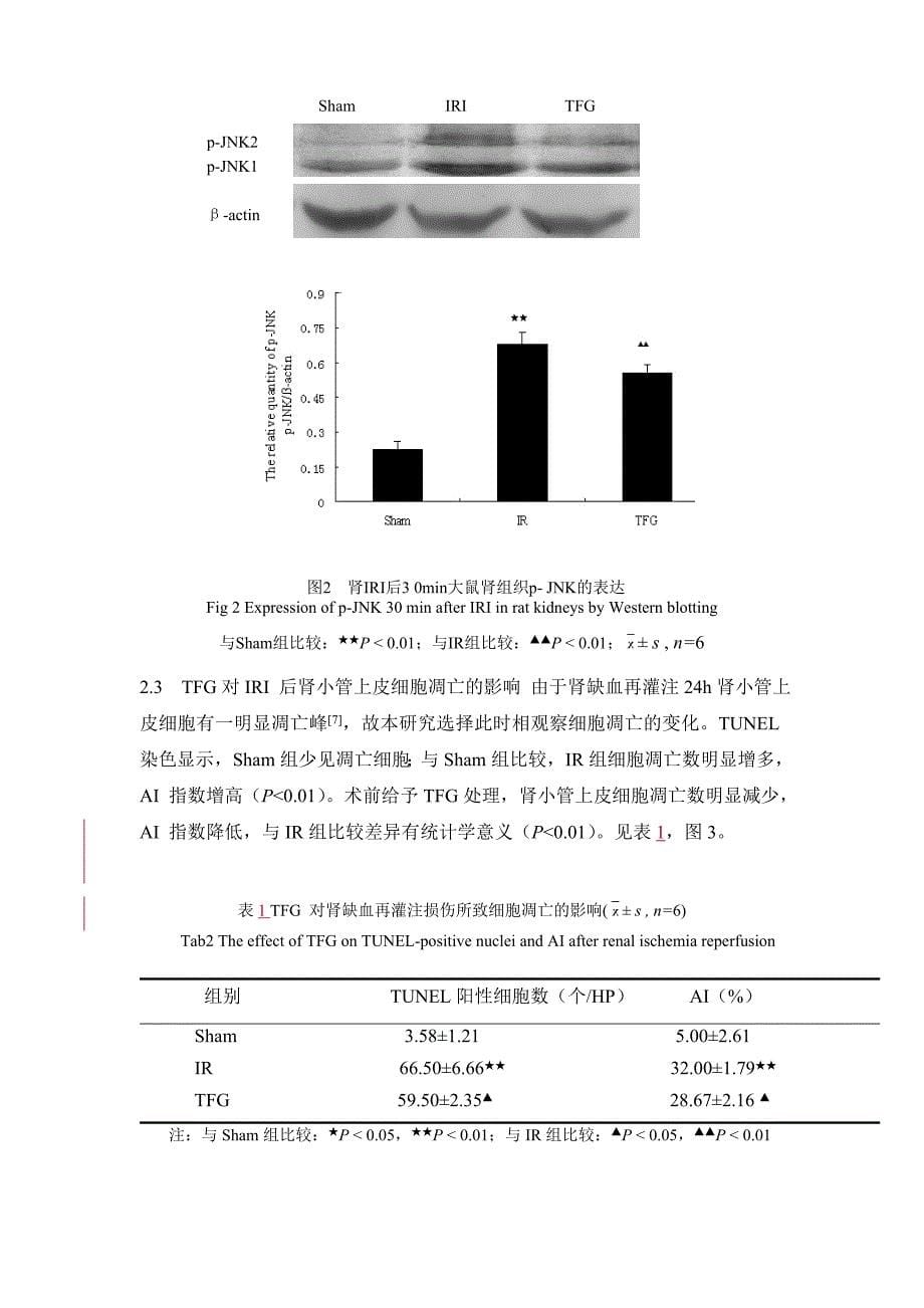 银杏总黄酮对肾缺血再灌注大鼠p-jnk表达的影响（朱家军等） 2011年全国麻醉质量控制论坛 江苏质控年会论文_第5页