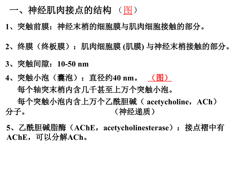 动物生理学课件第三章_第2页