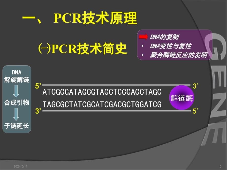 基因工程-7章pcr技术及其应用_第5页