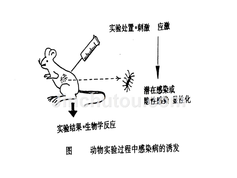 微生物学分类与控制_第4页