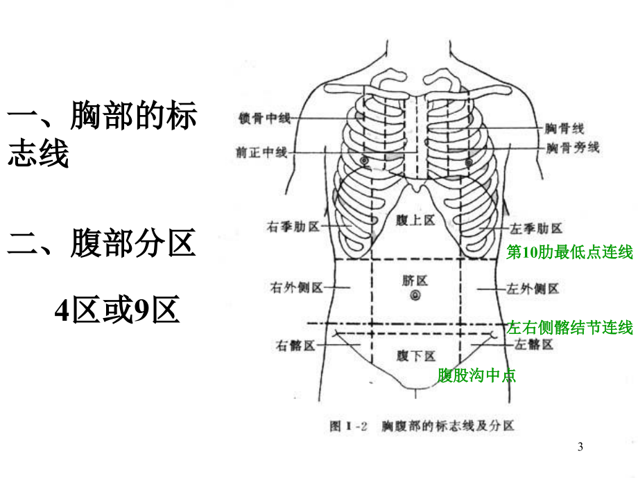 《消化系统腹膜》ppt课件_第3页