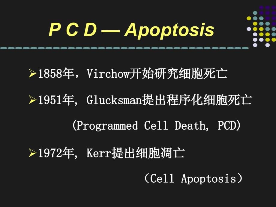 《细胞凋亡与肿瘤》ppt课件_第5页