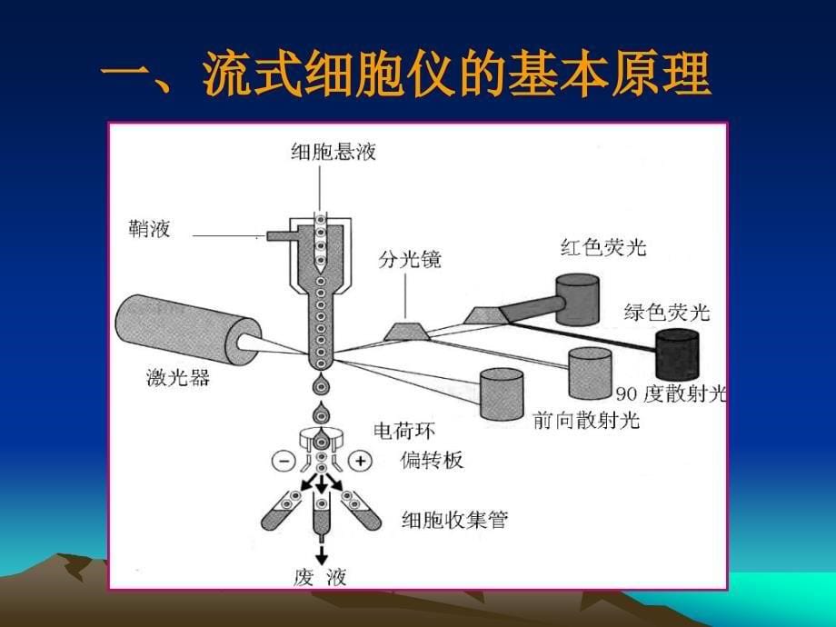 《流式细胞技术》课件_第5页