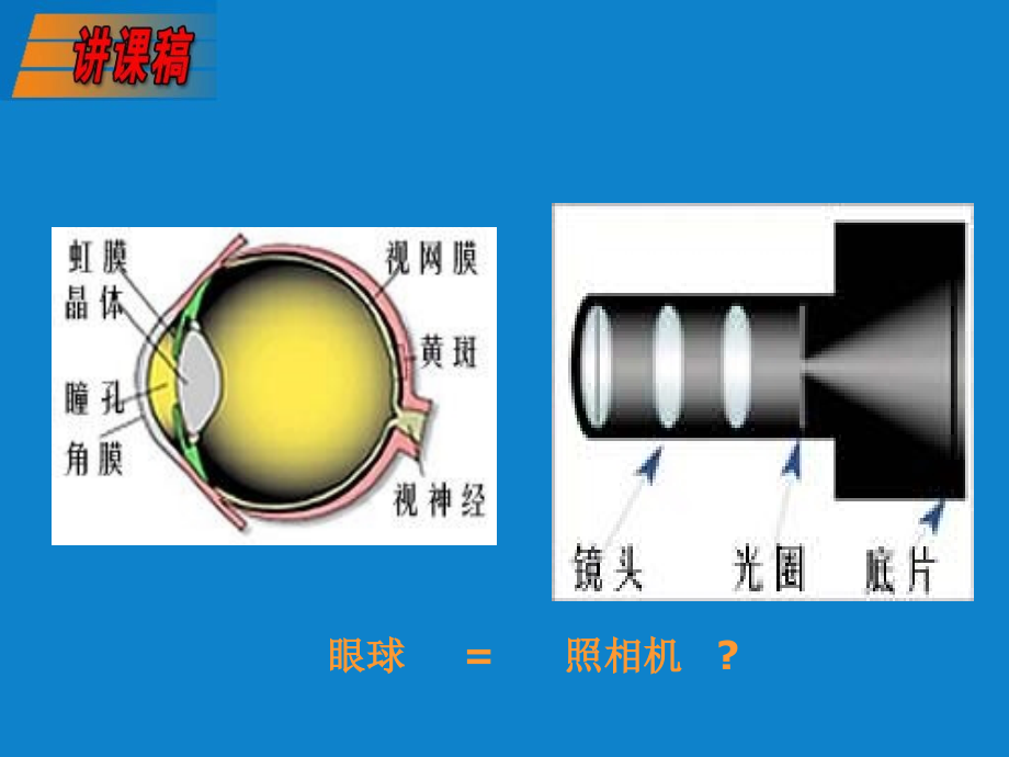 《眼的解剖与生理张》ppt课件_第3页