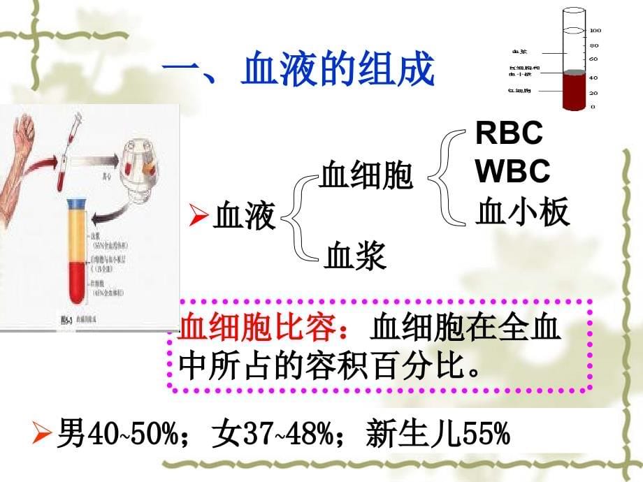 《血液护本》ppt课件_第5页