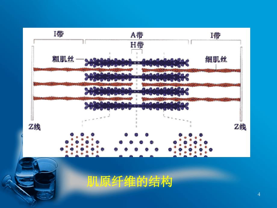 心血管系统的生物化学检验_第4页