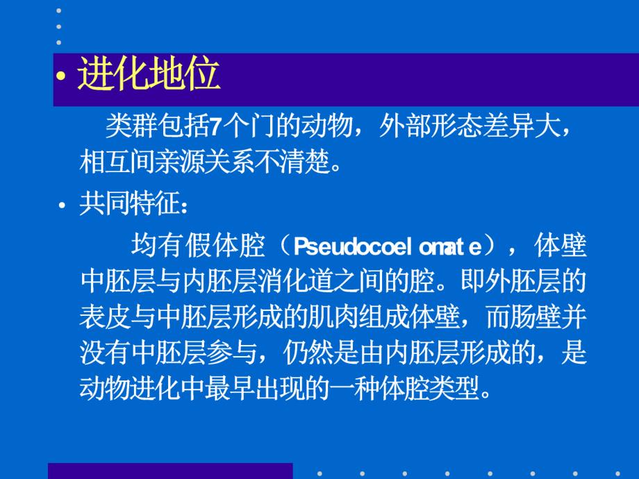 为体内器官系统的发展提供了空间体壁肌肉层及体腔液_第2页