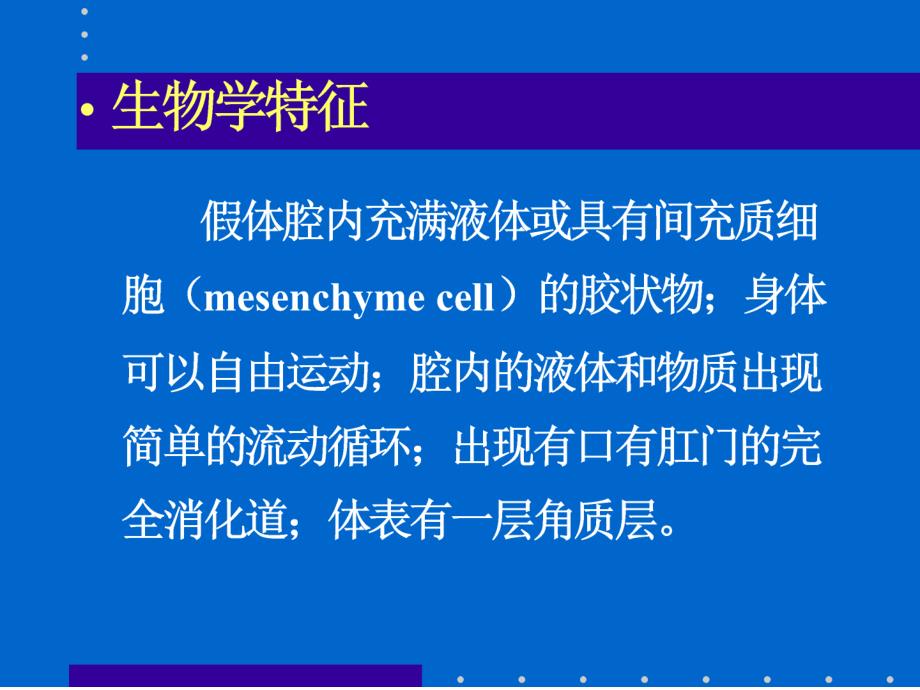 为体内器官系统的发展提供了空间体壁肌肉层及体腔液_第3页