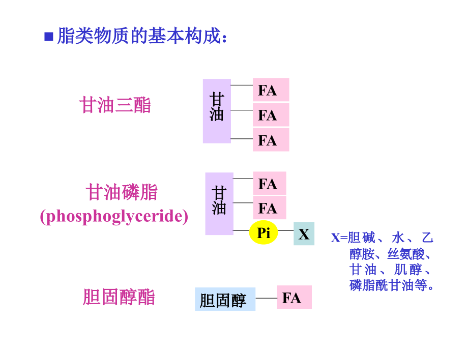 本科—第5章脂类代谢_第4页