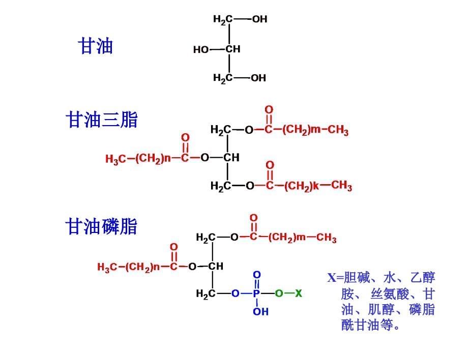 本科—第5章脂类代谢_第5页