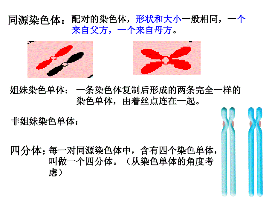 名校联盟江苏省连云港灌云县第一中学高中生物必修二《遗传与进化》知识点_第4页