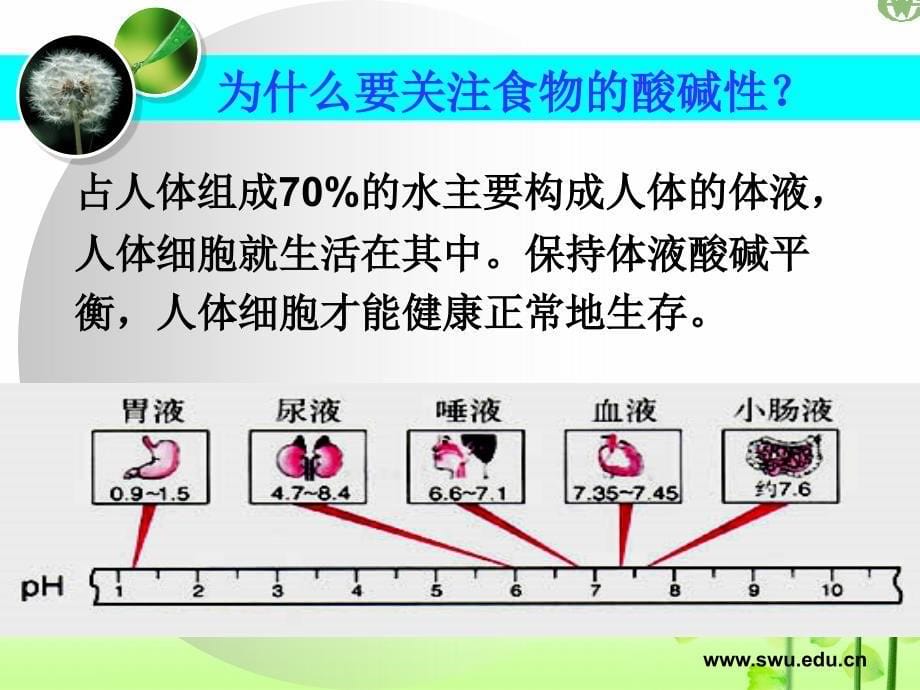 《组食物酸碱性》ppt课件_第5页