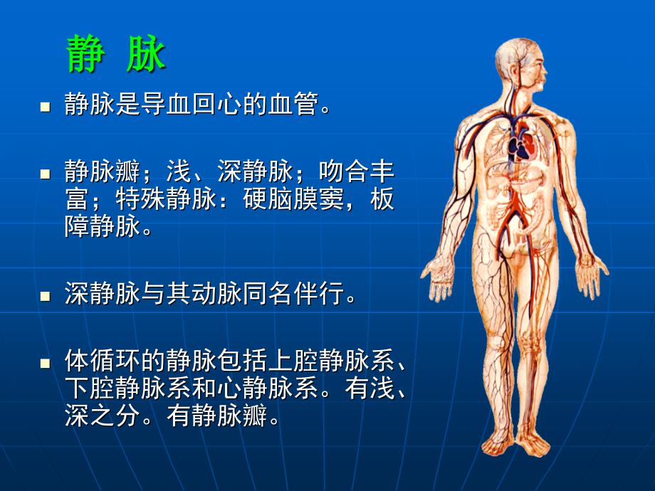 《静脉淋巴》ppt课件_第2页