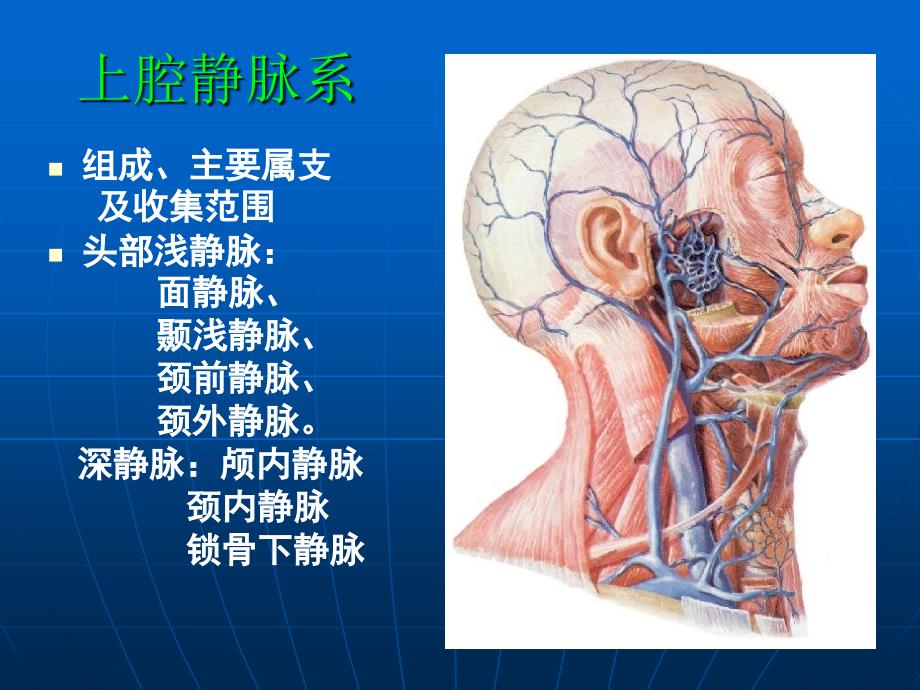 《静脉淋巴》ppt课件_第3页