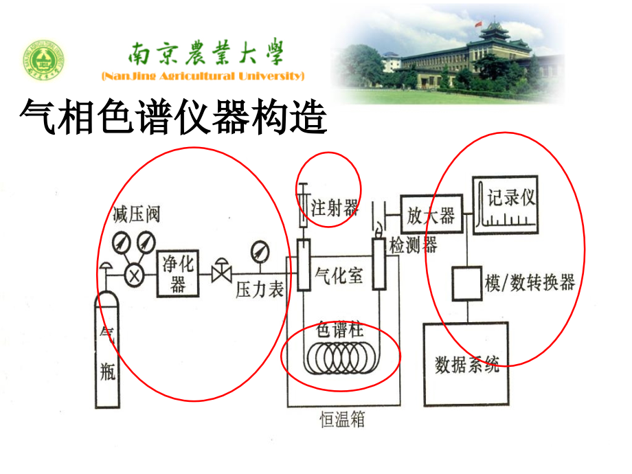 《气相色谱分析》课件_第3页