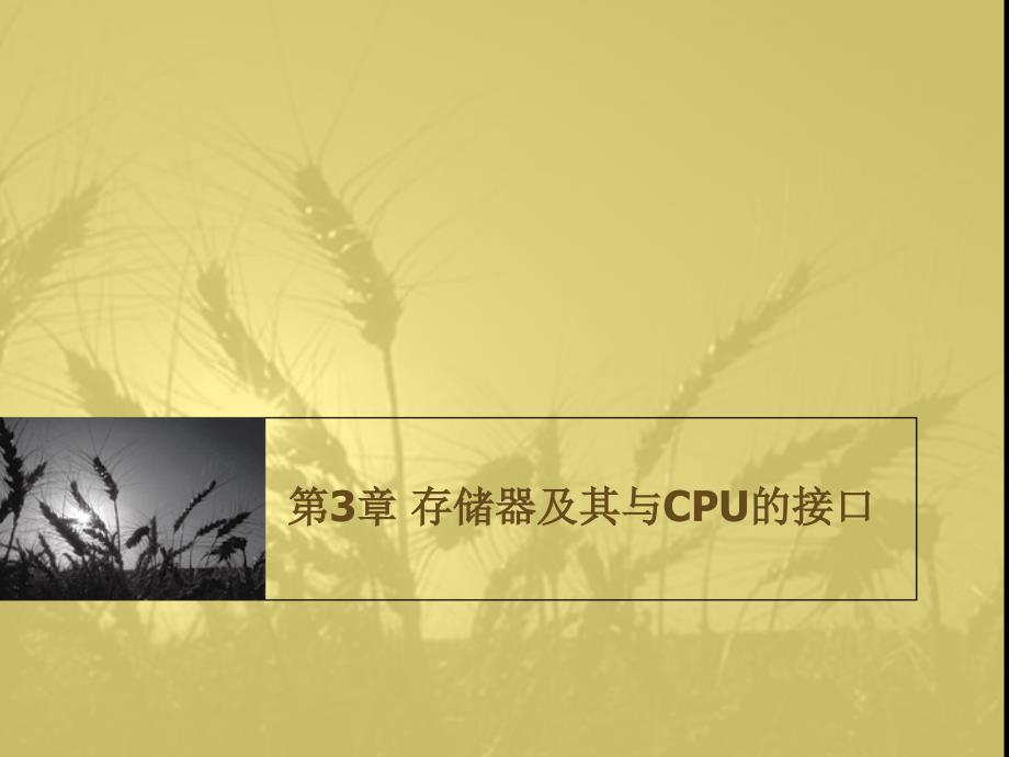 存储器及其与cpu的接口_第1页