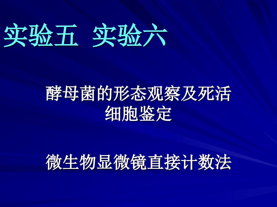 实验五实验六酵母菌形态观察显微计数法_第1页