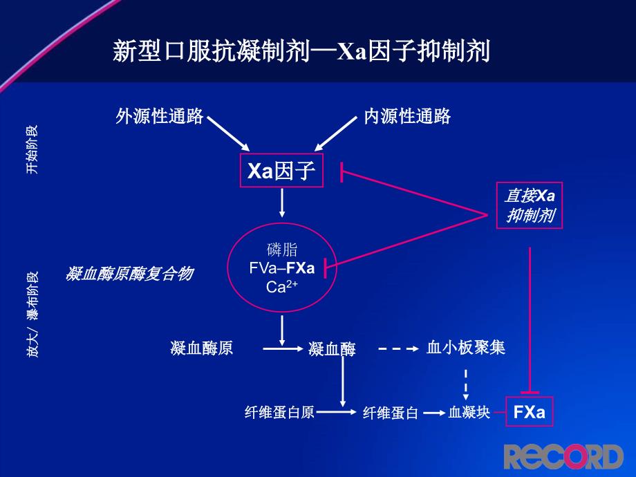 利伐沙班预防全髋或全膝关节置换术后静脉血栓栓塞事_第4页