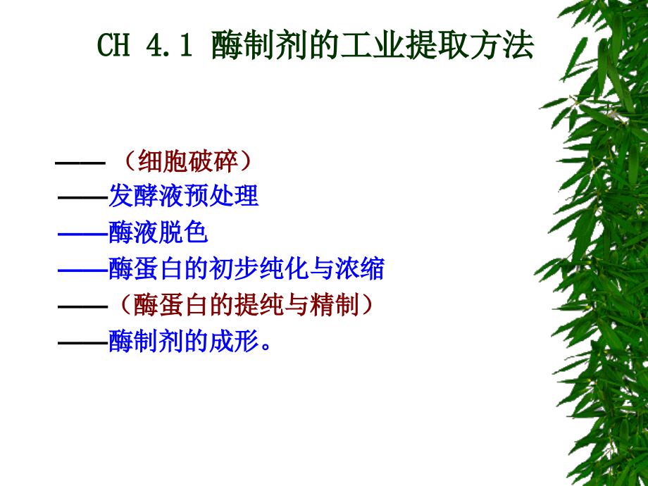 《酶工程酶制剂制备》ppt课件_第2页