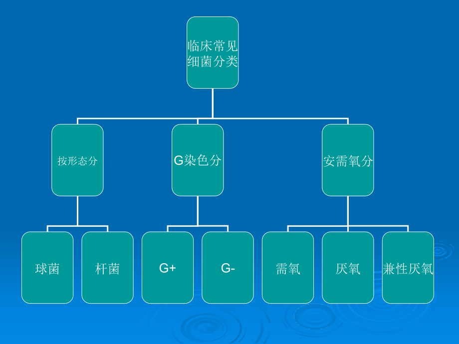 《抗菌药物应用》ppt课件_第2页