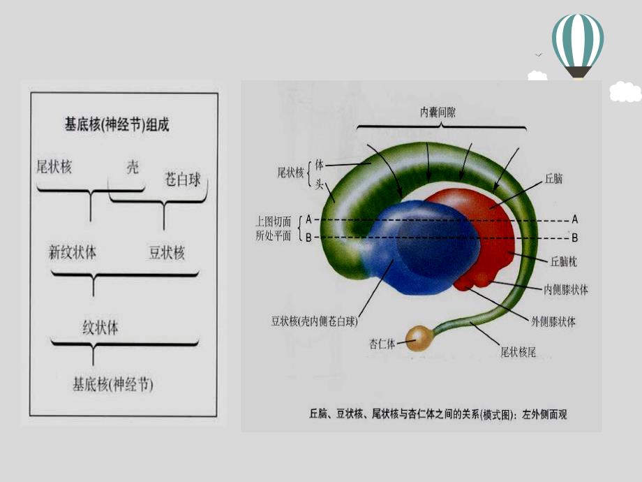 颅内对称性病变ppt课件_第2页