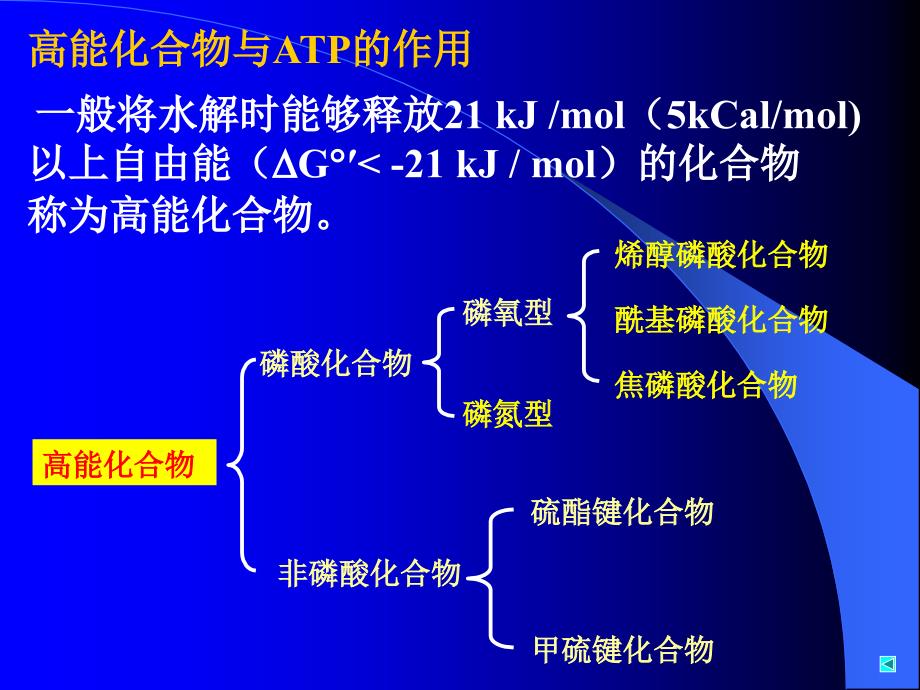 代谢总论与生物氧化1_第2页