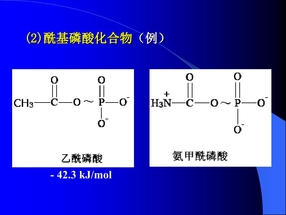 代谢总论与生物氧化1_第4页