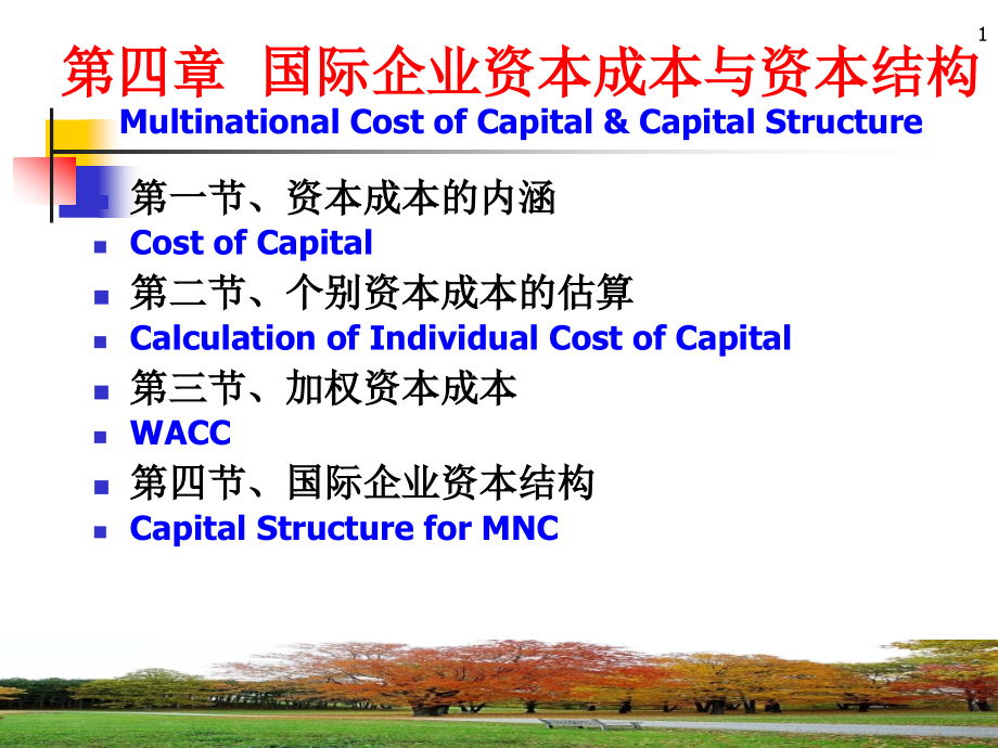 国际企业资本成本与资本结构_第1页