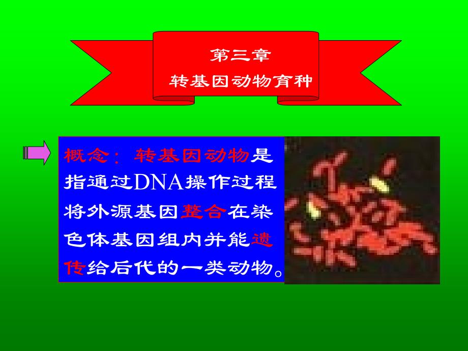 动物分子遗传育种学第4章_第1页