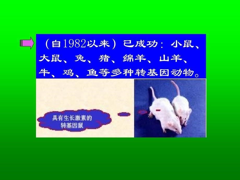 动物分子遗传育种学第4章_第5页