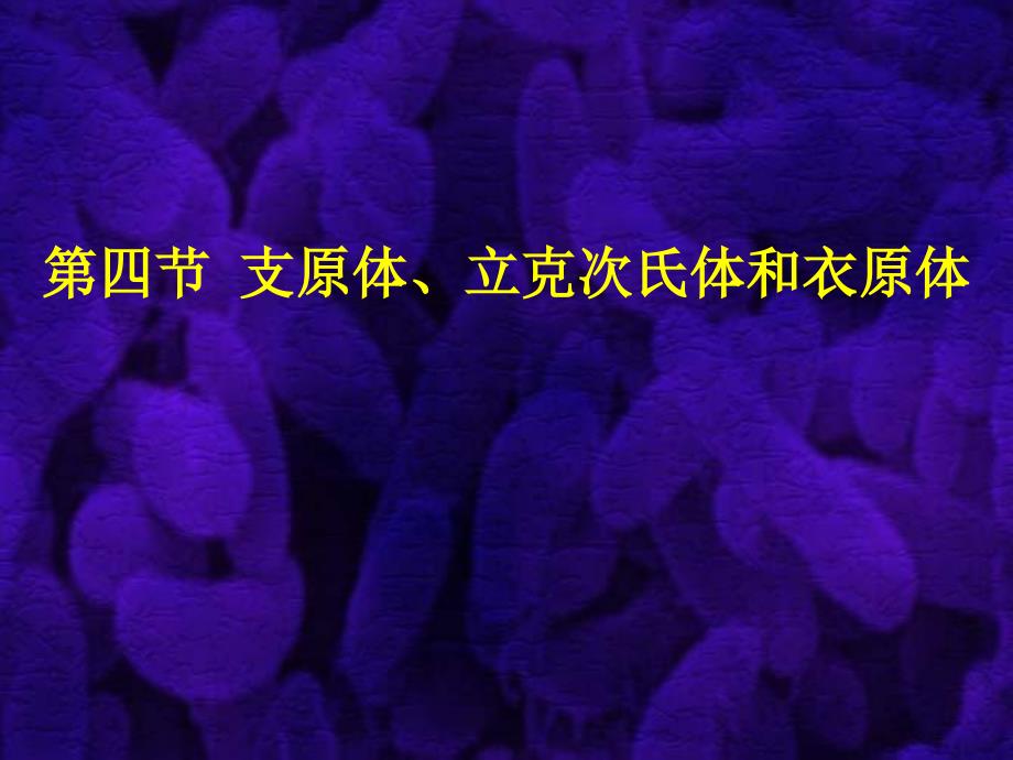 微生物学教程第一章三体_第1页