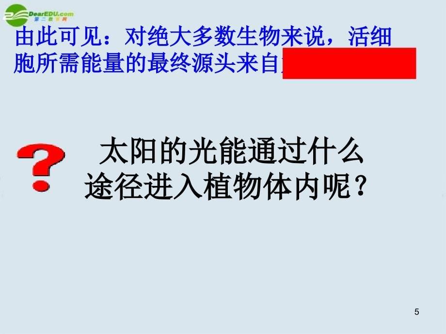 好高中生物光合作用课件新人教版必修_第5页