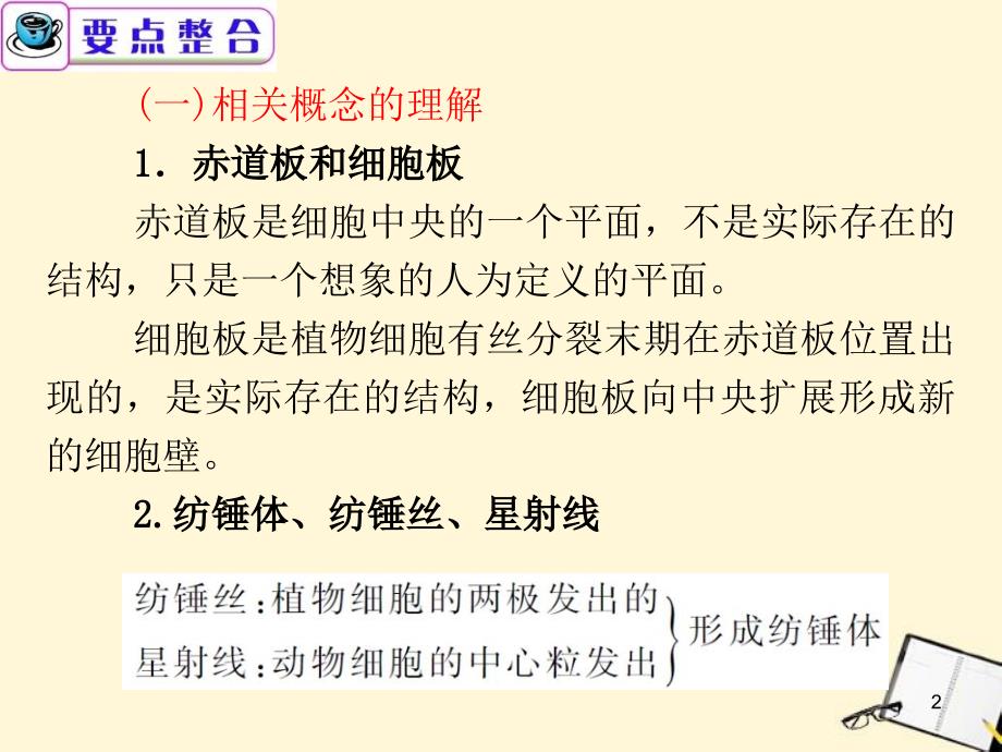 广东省高考生物二轮总复习第5课时细胞增殖和受精作用_第2页