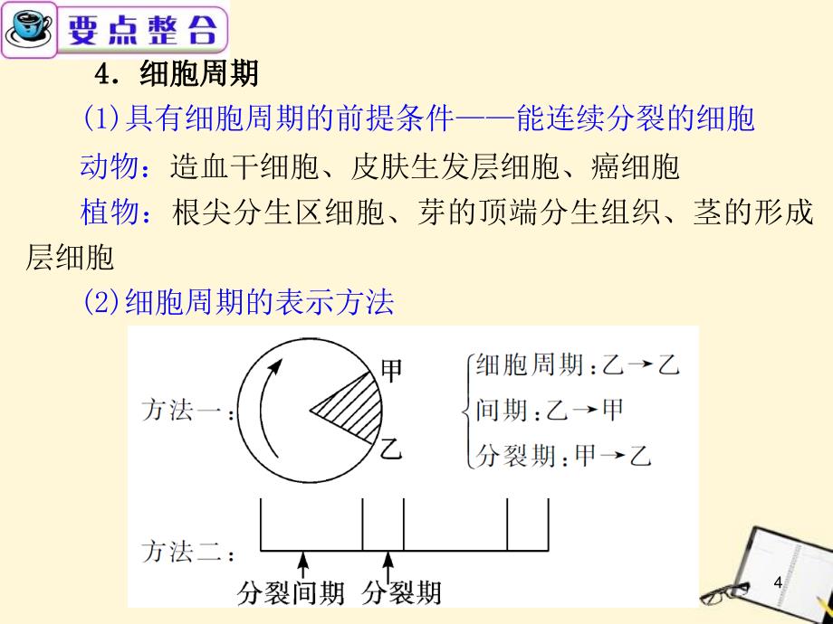 广东省高考生物二轮总复习第5课时细胞增殖和受精作用_第4页