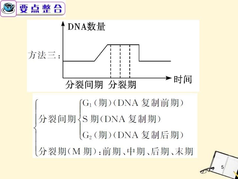 广东省高考生物二轮总复习第5课时细胞增殖和受精作用_第5页