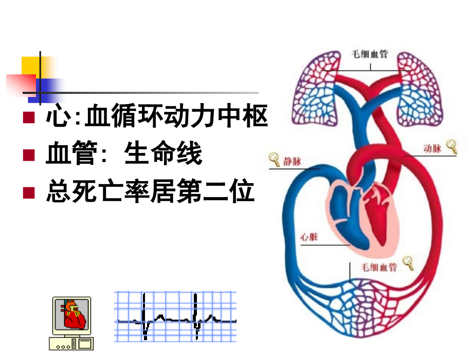 心血管系统疾病1-动脉粥样硬化、冠心病_第2页