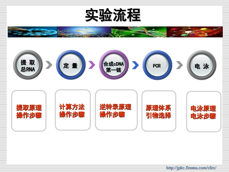 总rna提取定量与rt-pcr_第3页