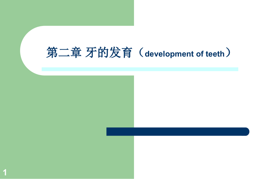 《牙的发育》ppt课件_第1页