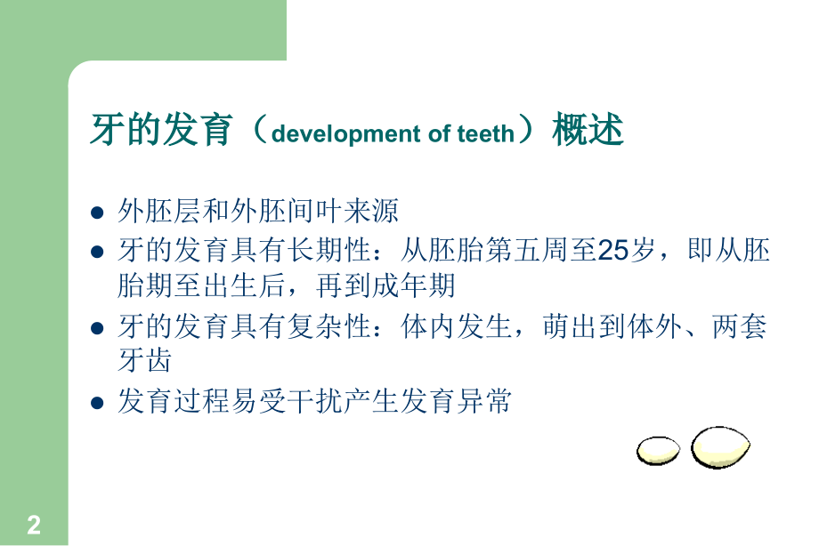 《牙的发育》ppt课件_第2页