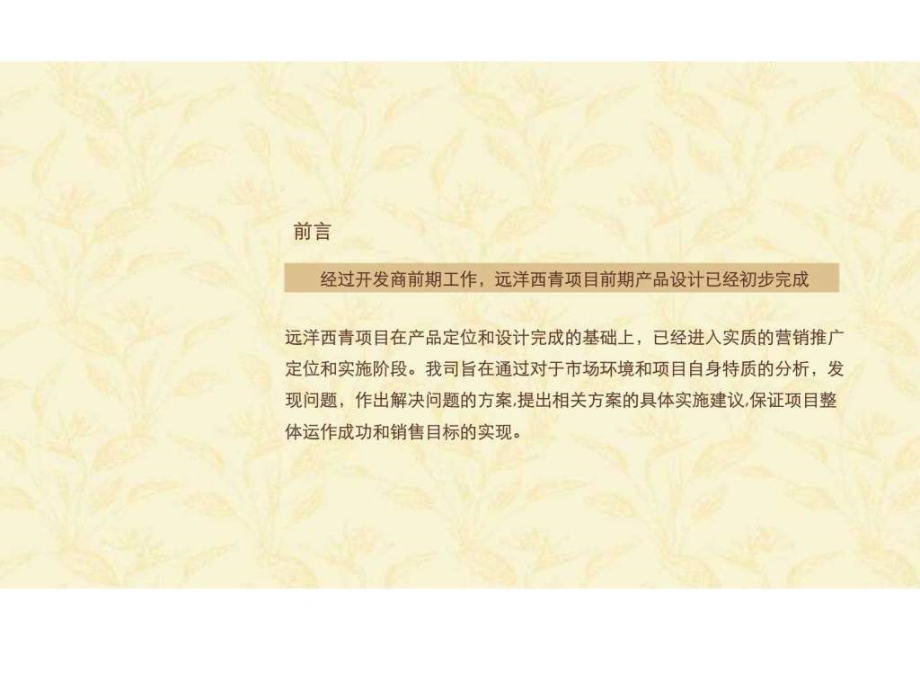 思源2010年天津远洋西青项目推广方案_第2页