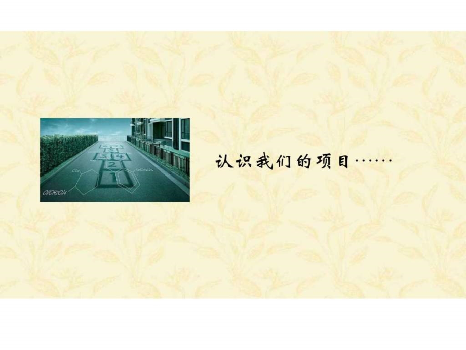 思源2010年天津远洋西青项目推广方案_第4页