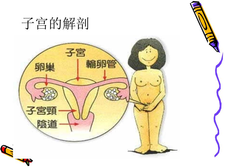 全子宫手术的护理配合1_第2页