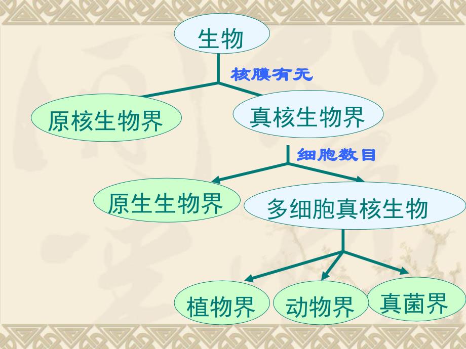 动物的主要类群济南_第3页