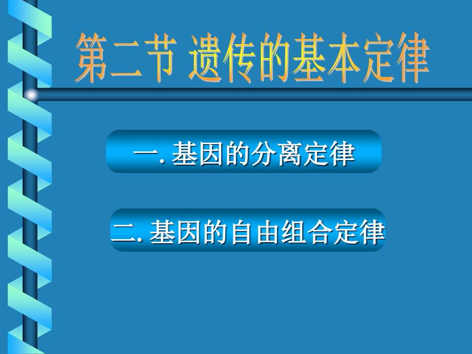 《遗传学2定律复习》ppt课件_第4页